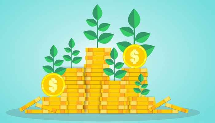 NRIs ATTENTION! Five investment options that you can explore putting money  into | Personal Finance News | Zee News