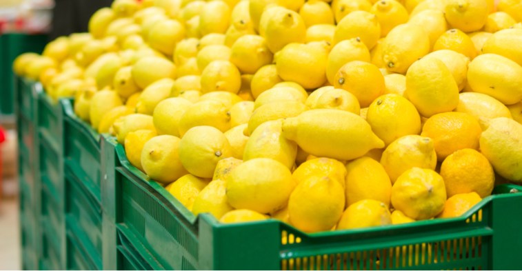 Global Lemon & Lime Market 2019 - South Africa Overcomes Argentina In The  Top-Exporter Ranking - Global Trade Magazine